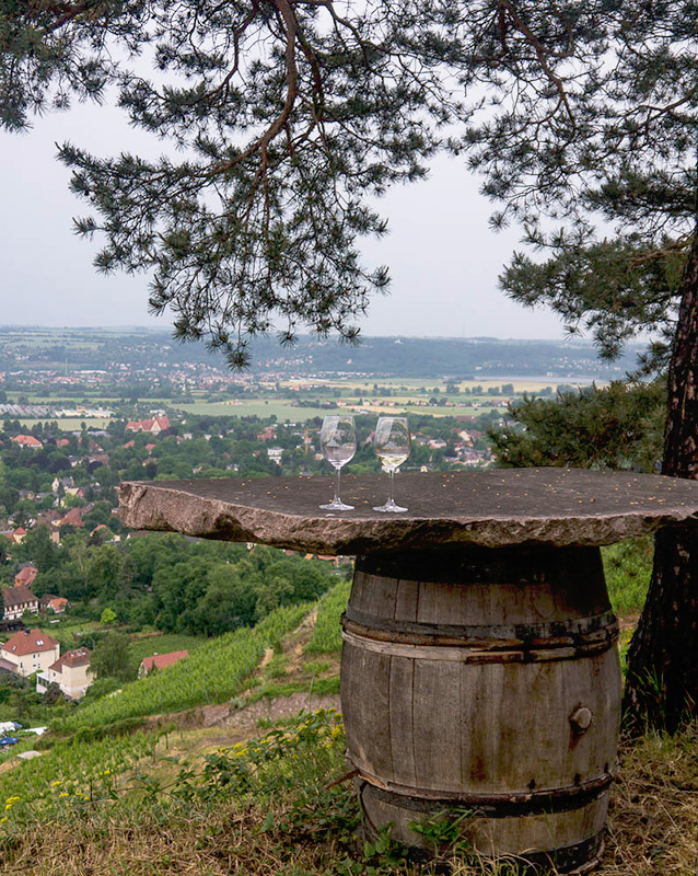 Weingenuss mit Ausblick