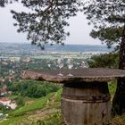 Weingenuss mit Ausblick