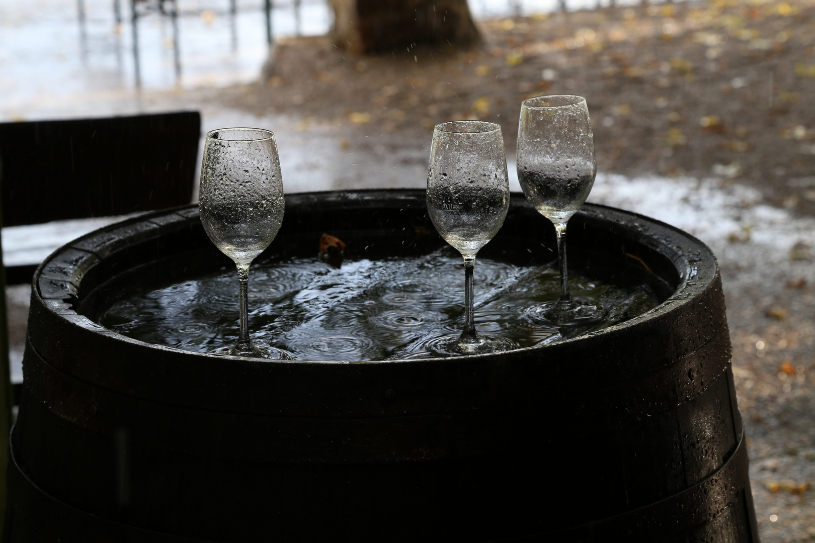 Weingläser im Regen - Rheingau, Hattenheim