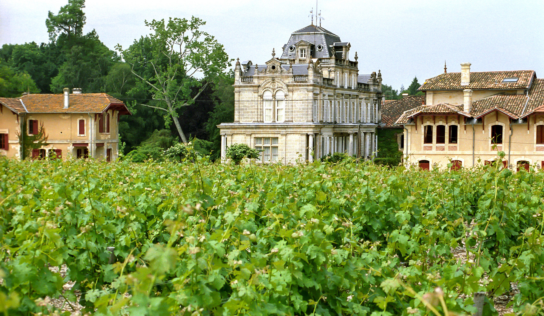 Weingut