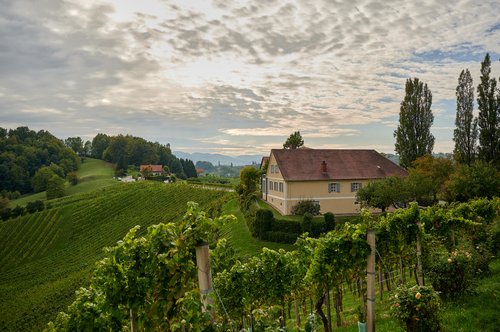 Weingut