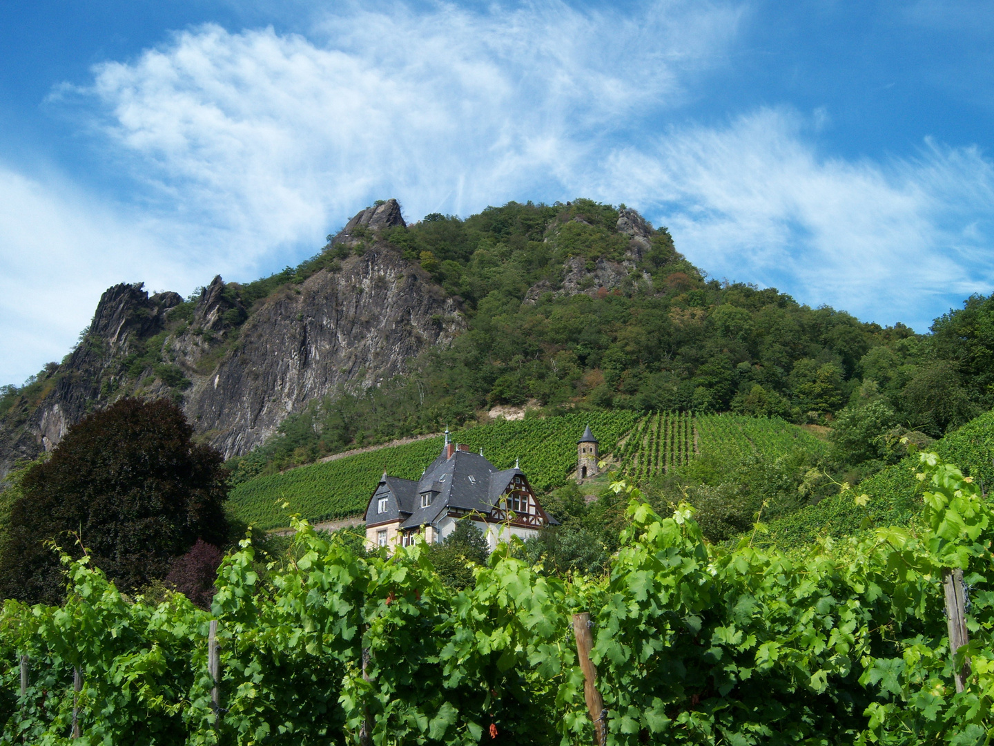 Weingut am Drachenfels