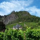 Weingut am Drachenfels