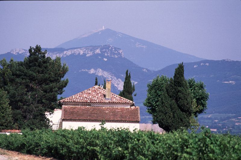 Weingut am Mont Ventoux