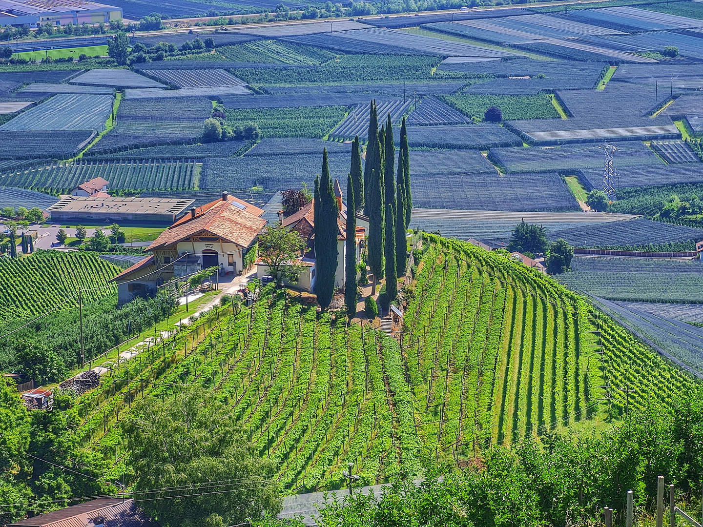 Weingut an der Etsch