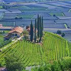 Weingut an der Etsch