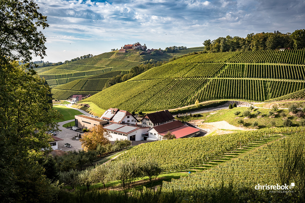 Weingut Andreas Maennle im Weinparadies Durbach