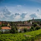 Weingut Bamberg Michaelsberg Oberfranken