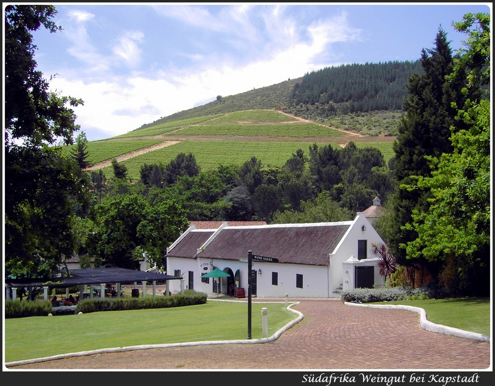 Weingut bei Kapstadt