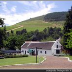 Weingut bei Kapstadt