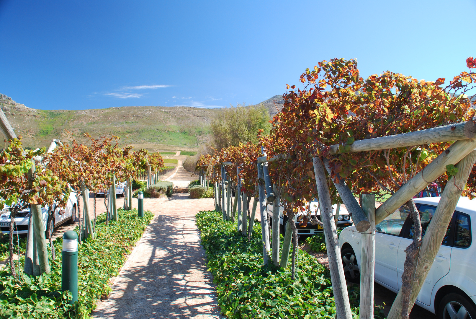 Weingut bei Kapstadt, Western Cape