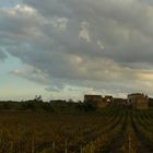 Weingut bei Marsala