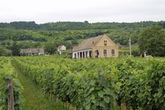 Weingut bei Szekszárd