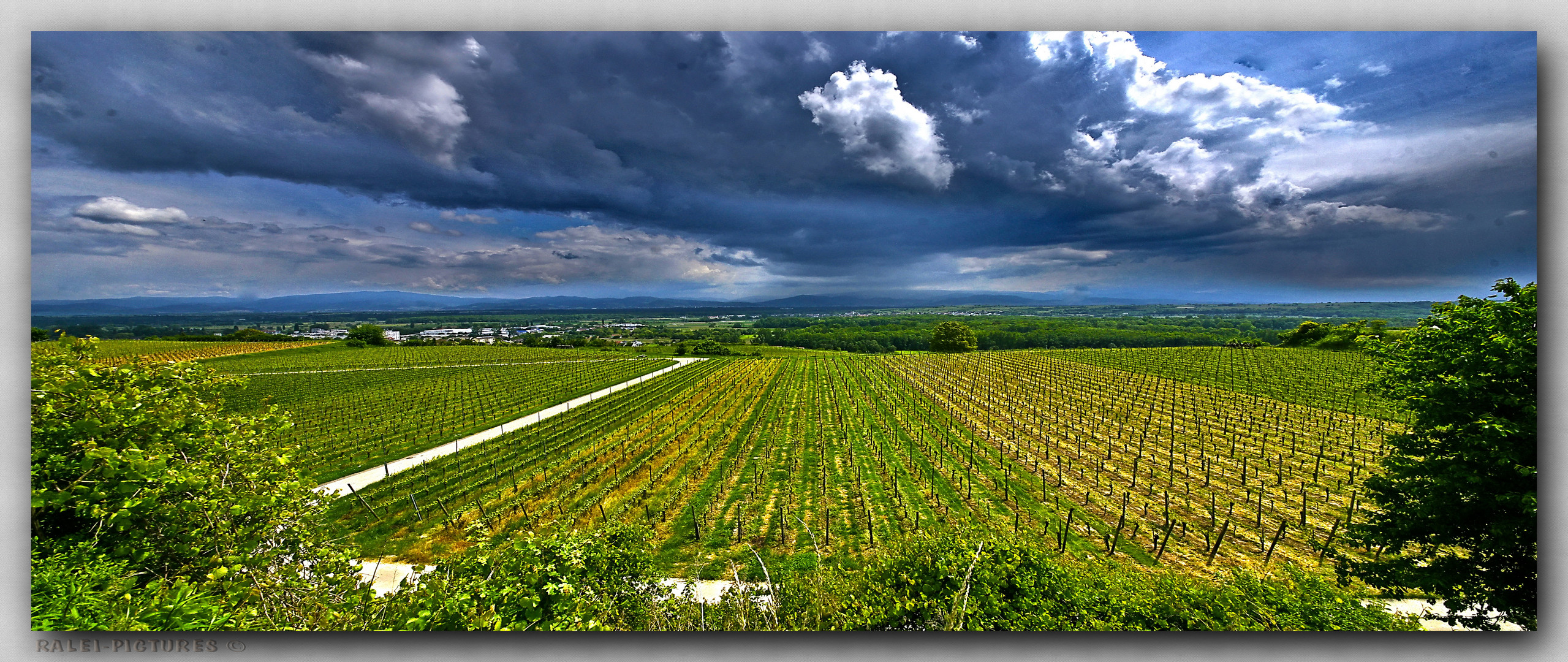 WEINGUT BRODBECK - 2013