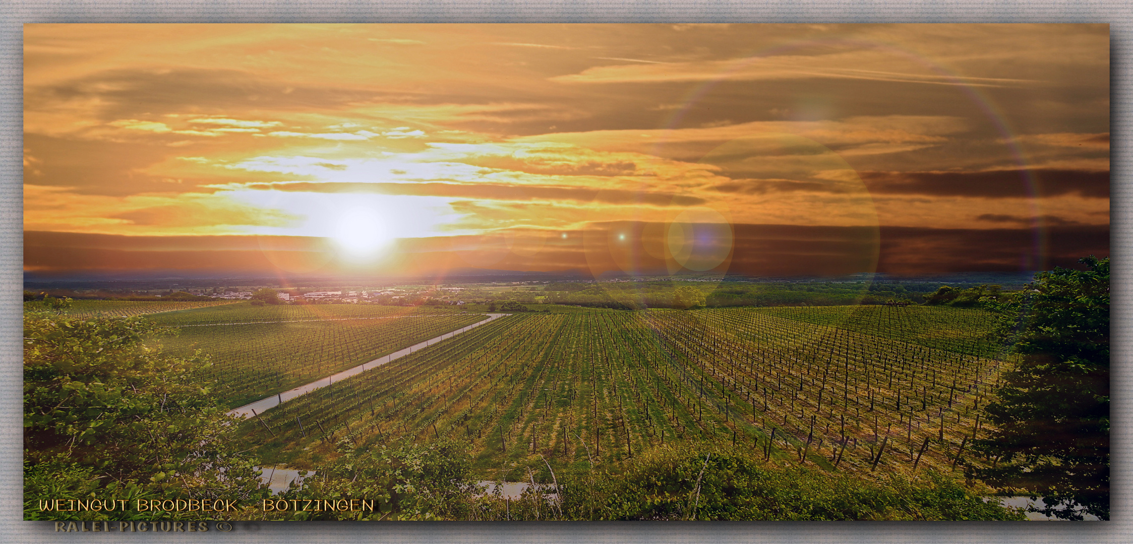 WEINGUT BRODBECK - Mai 2013 - Sonnenaufgang