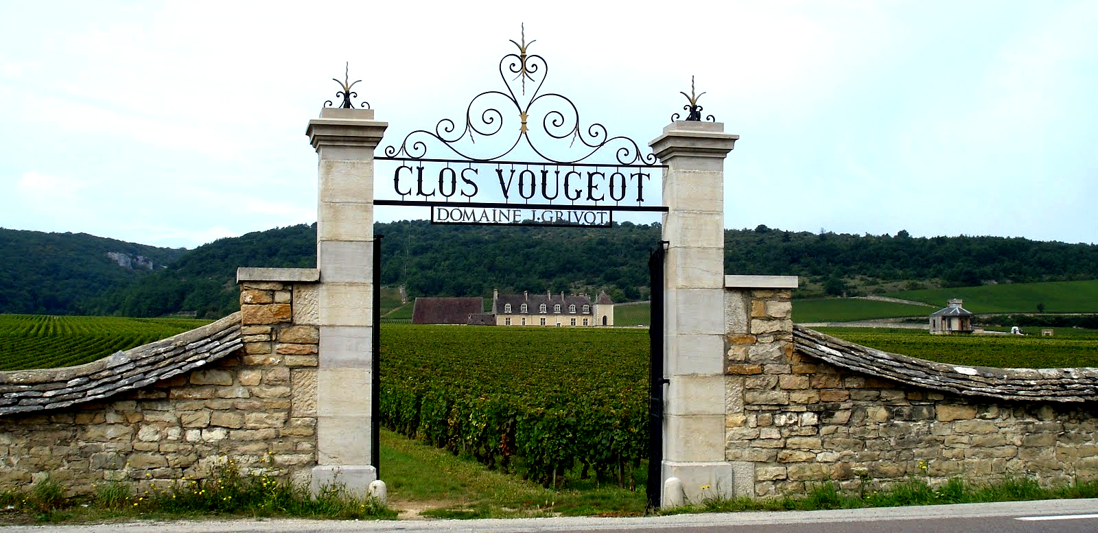 Weingut Clos de Vougeot - Beaune / Burgund