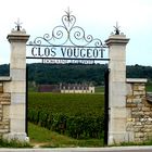 Weingut Clos de Vougeot - Beaune / Burgund