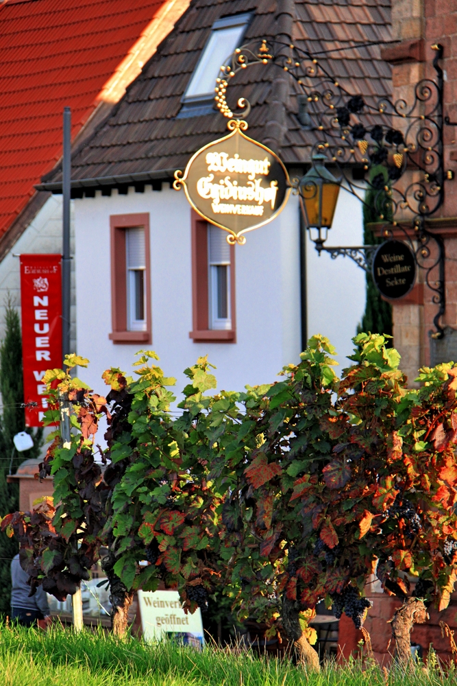 Weingut Egidiushof