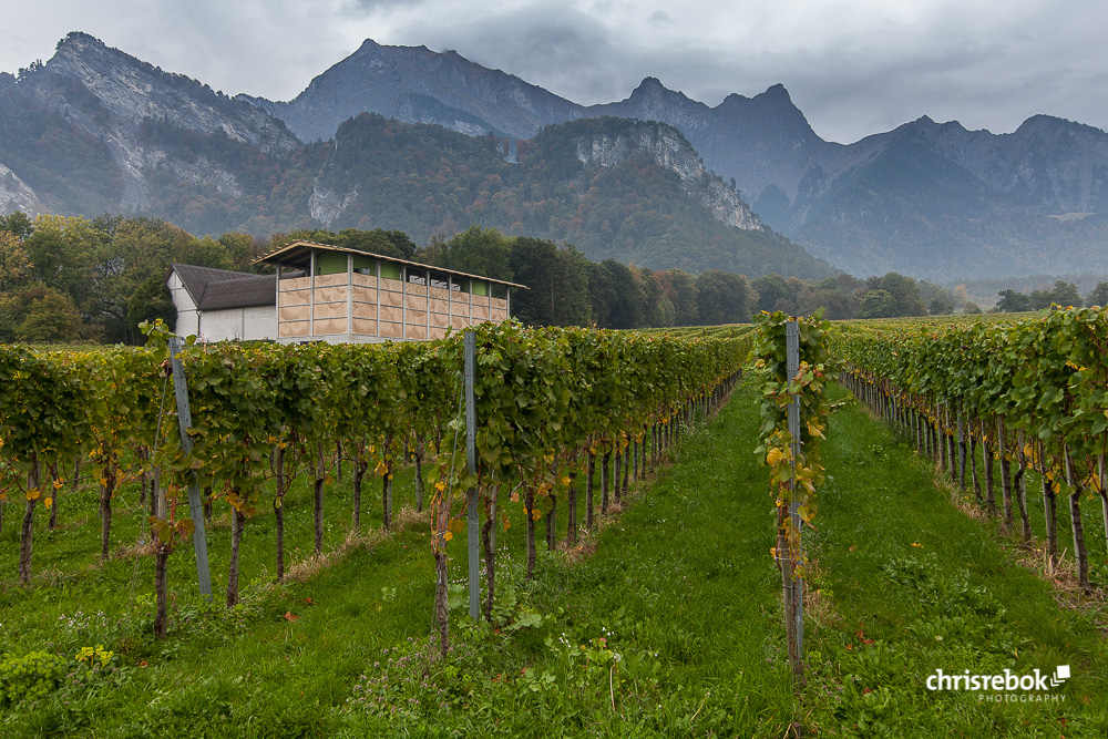 Weingut Gantenbein bei Fläsch in Graubünden (Schweiz)