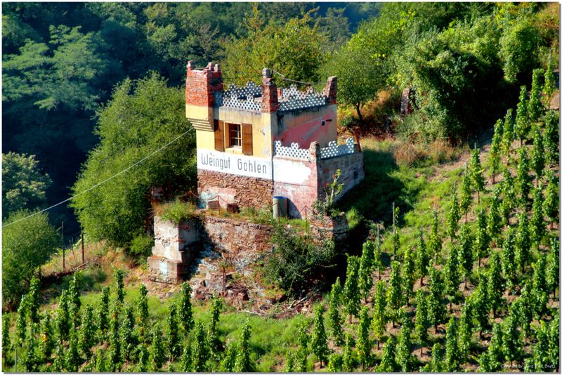 Weingut Göhlen