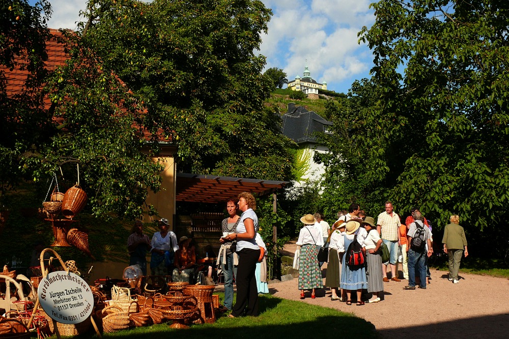 Weingut Hoflößnitz