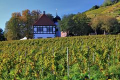 Weingut Hoflößnitz