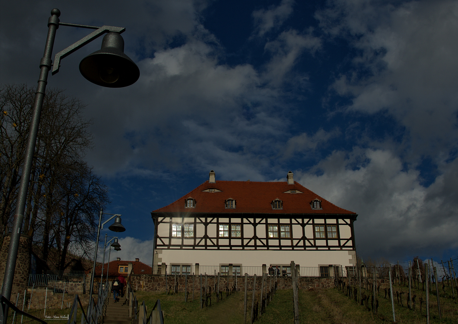  Weingut Hoflößnitz