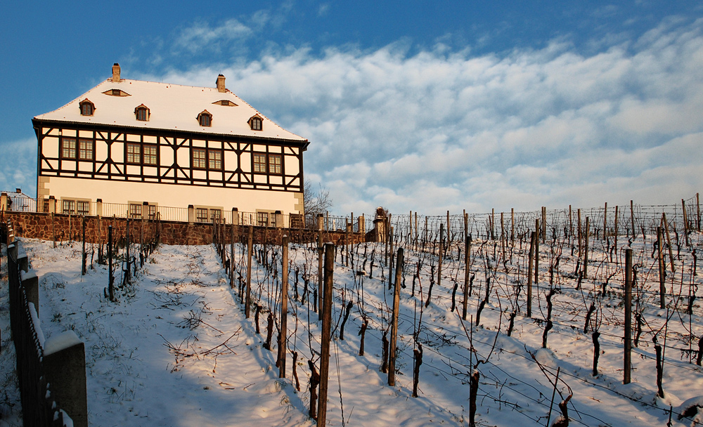 Weingut Hoflößnitz im Winter