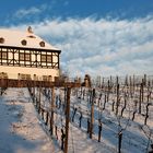 Weingut Hoflößnitz im Winter