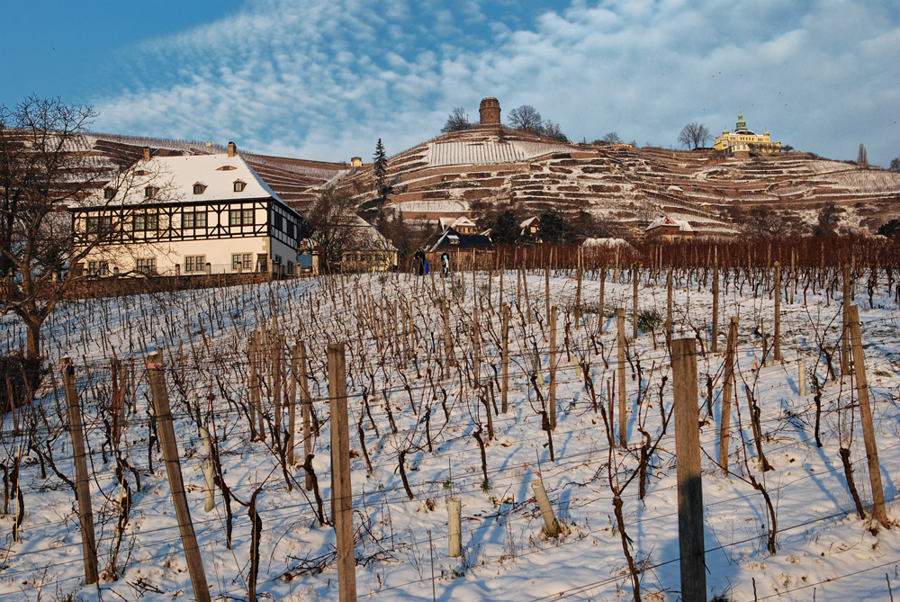 Weingut Hoflößnitz mit Spitzhaus im Winter