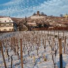 Weingut Hoflößnitz mit Spitzhaus im Winter