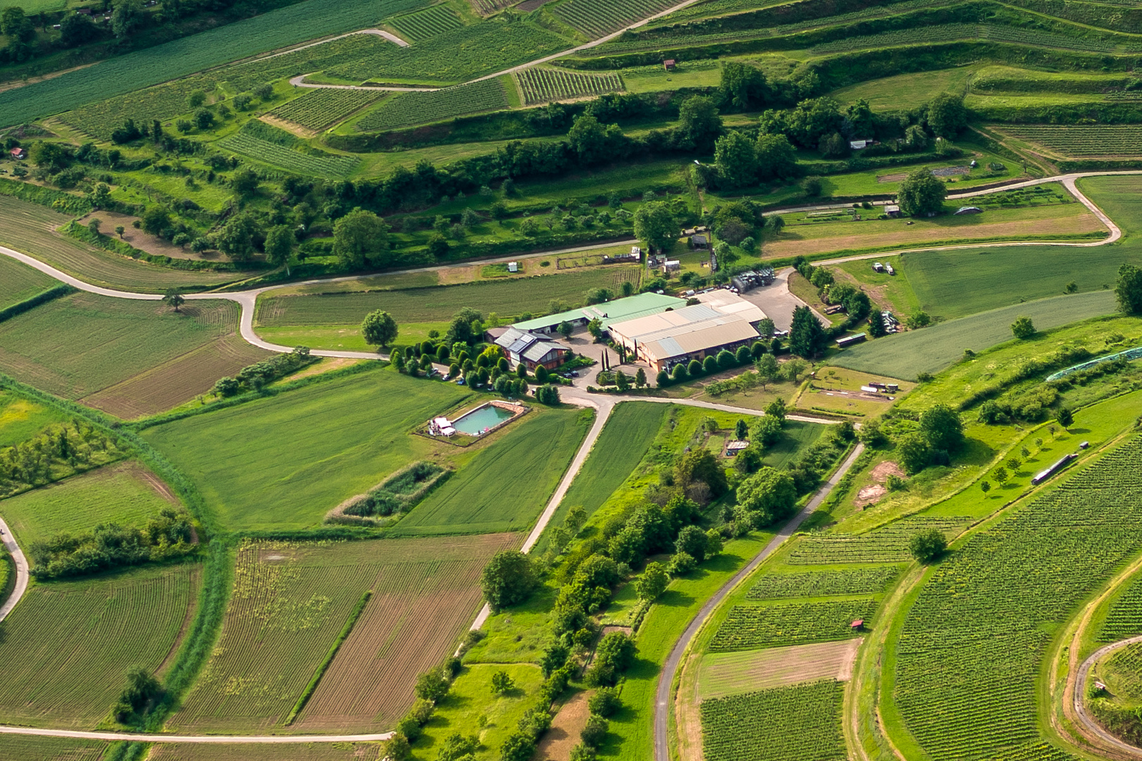 Weingut Huber  Malterdingen Weinlandschaft 