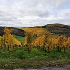 Weingut im Herbst