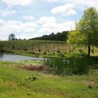 Weingut in der Naehe von Kerikeri