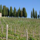 Weingut in der Toscana