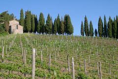 Weingut in der Toscana