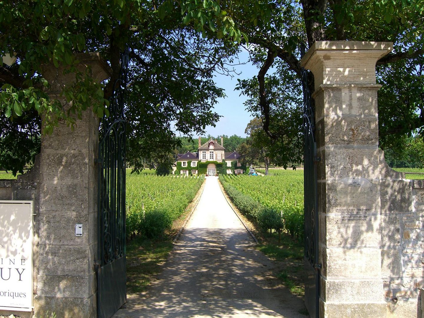 Weingut in Frankreich