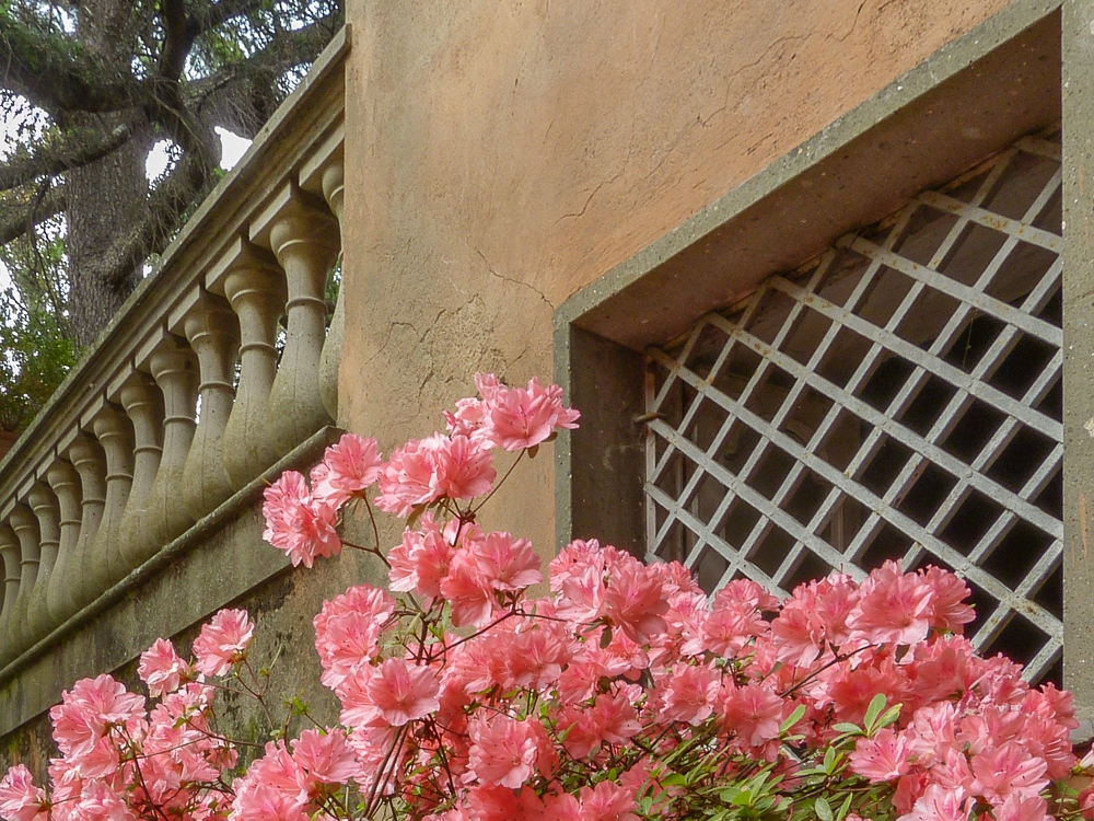 Weingut in Frascati bei Rom