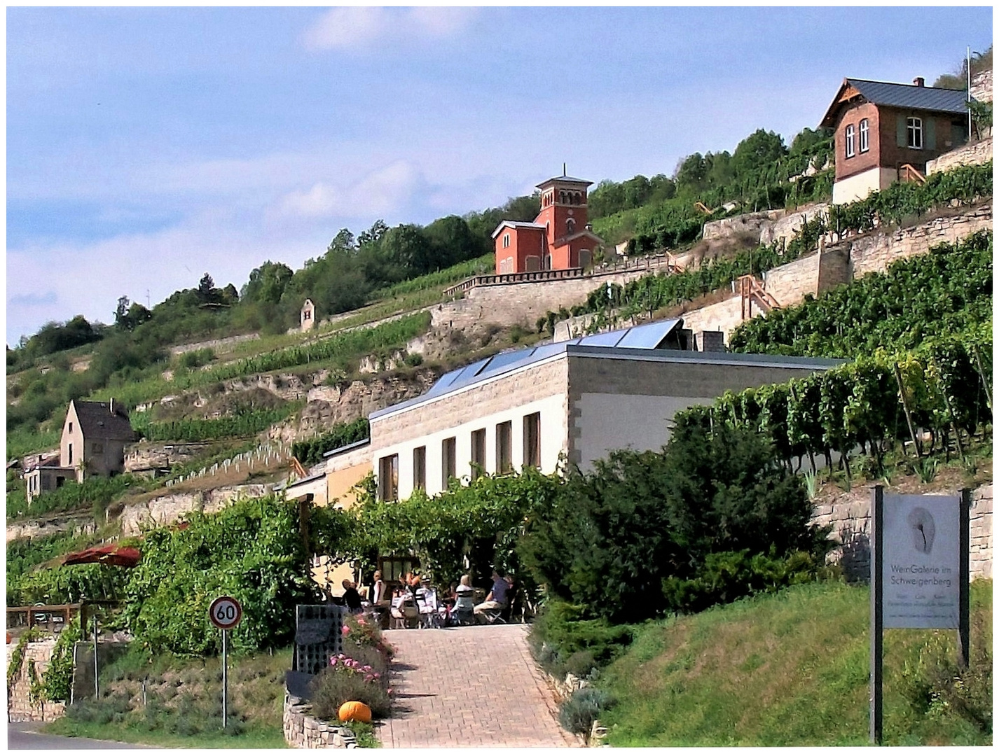 Weingut in Freyburg