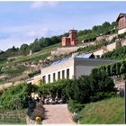 Weingut in Freyburg