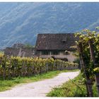 Weingut in Kaltern