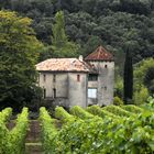 Weingut in Languedoc-Roussillon