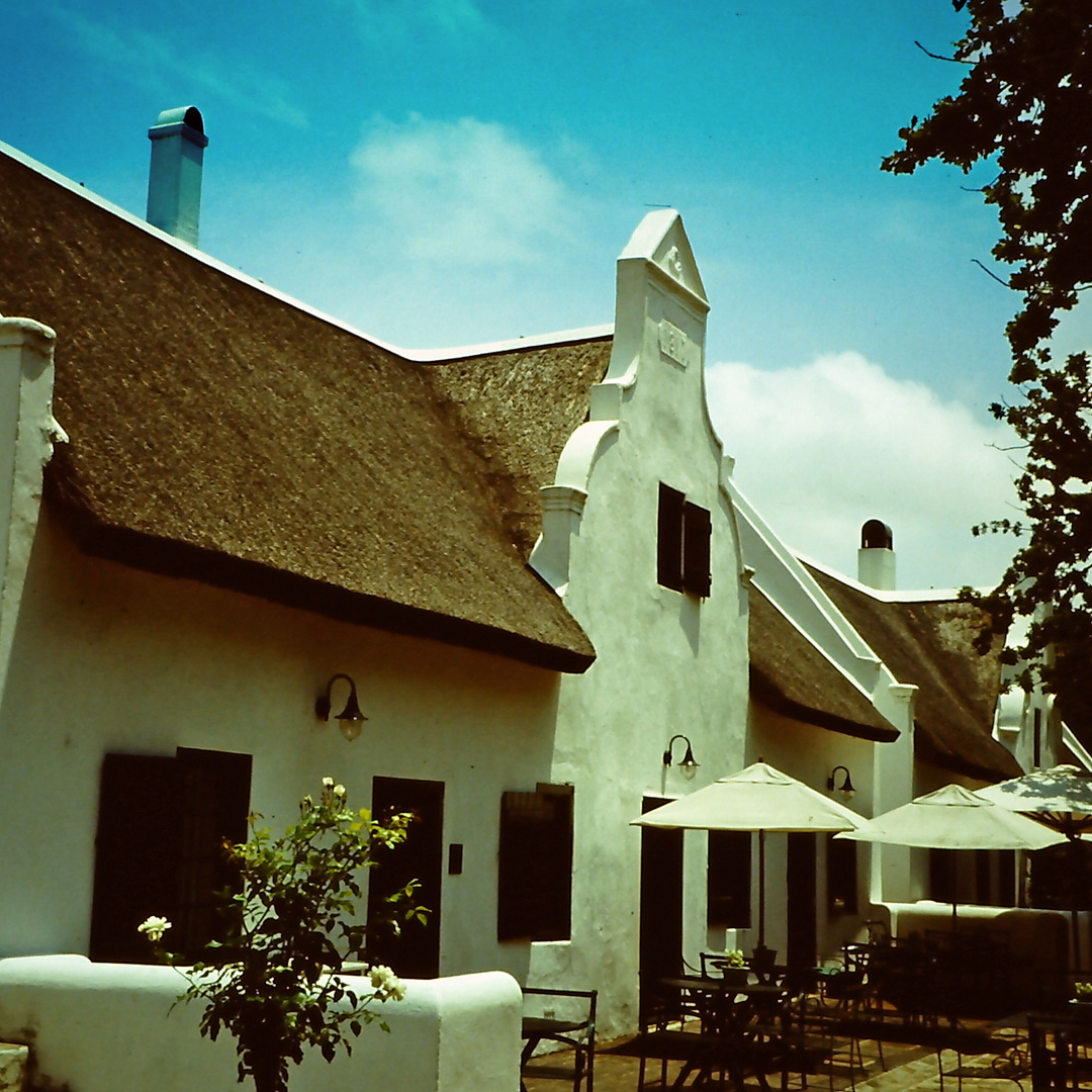 Weingut in Südafrika