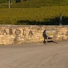 _Weingut KABOLA