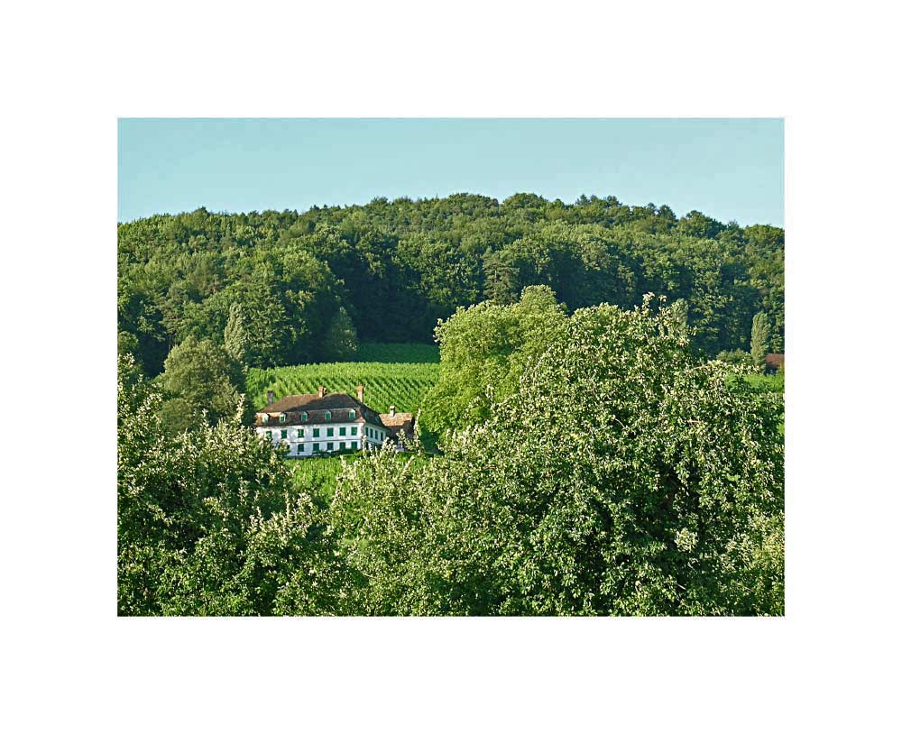 Weingut Kesselring bei Westwind