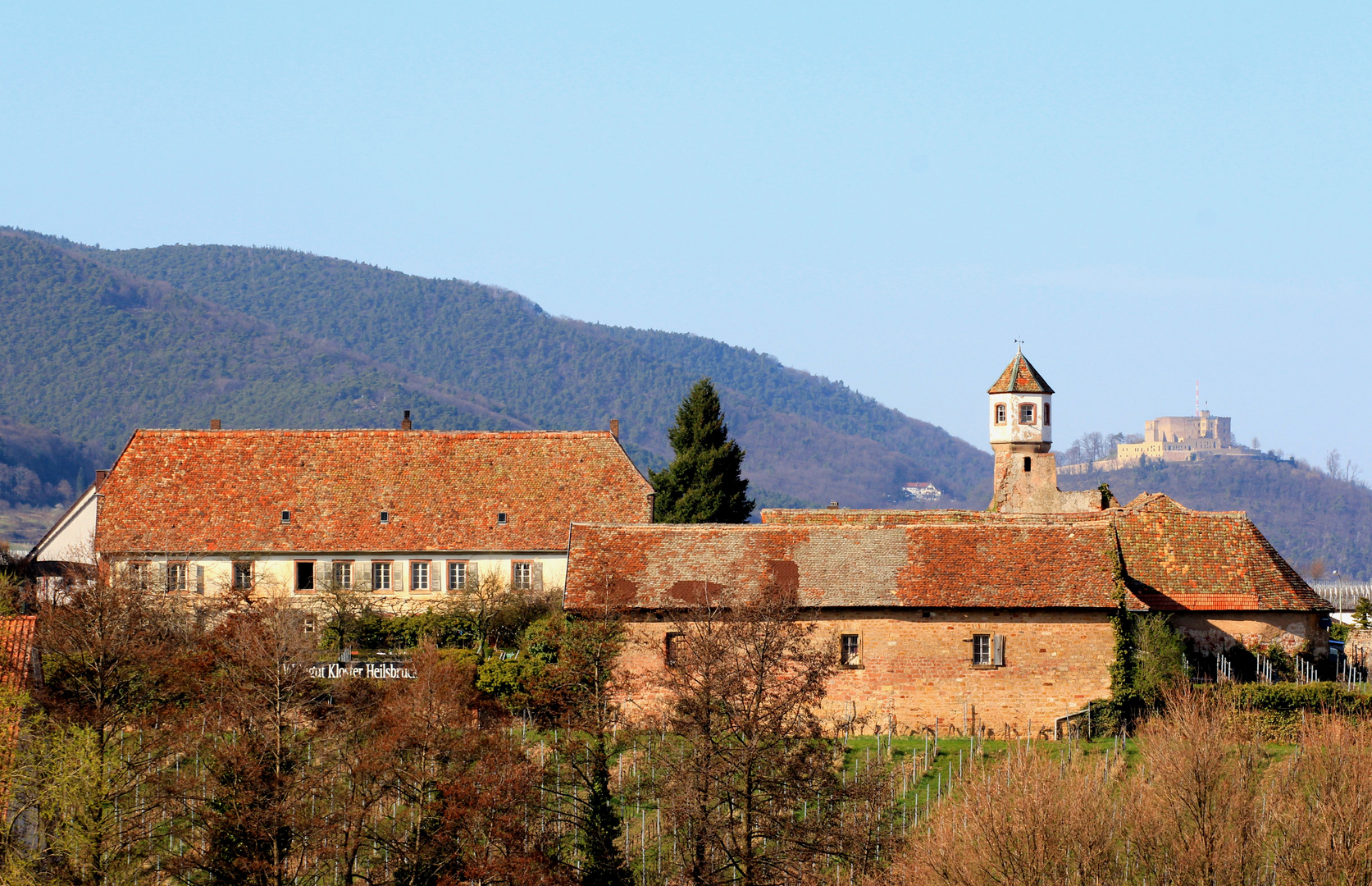 Weingut Kloster Heilsbruck