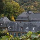 Weingut Kloster Marienthal #3