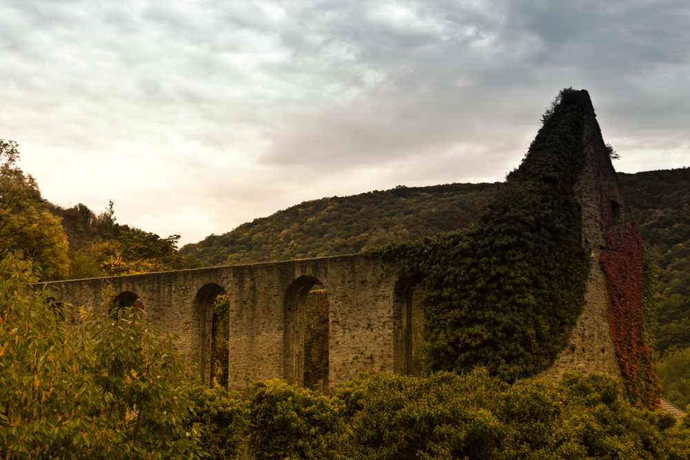 Weingut Kloster Marienthal