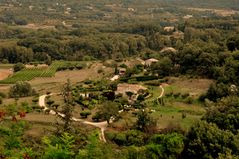 Weingut "Lacoste"