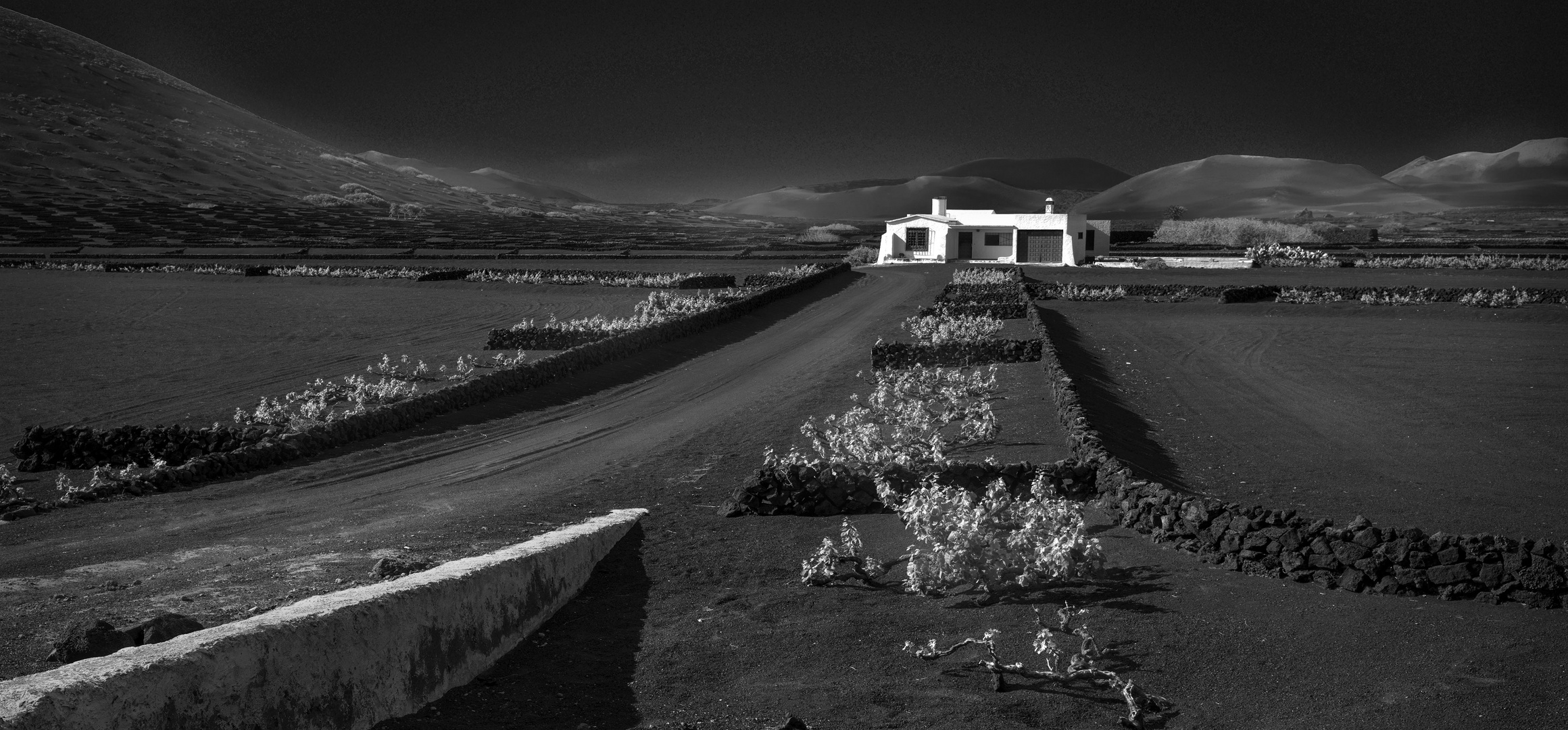 Weingut La_Geria [Lanzarote]